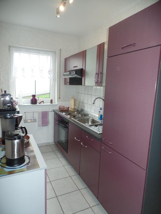 בורגן Ferienwohnung Erz מראה חיצוני תמונה
